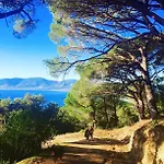 La Vigne De Hotel Ramatuelle
