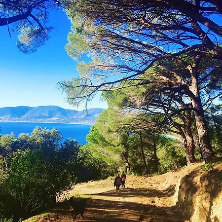 La Vigne De Hotel Ramatuelle