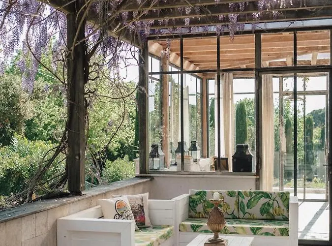 La Vigne De Ramatuelle