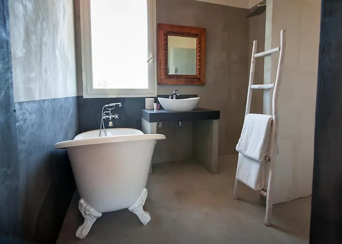 Hotel La Vigne De